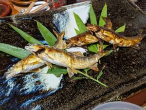 抜群の火入れで香ばしく焼き上げられた鮎の塩焼き